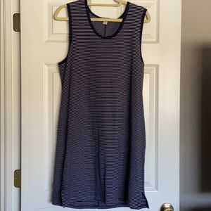 JCrew stretchy knee length dress